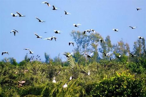 réserve d'oiseaux de Vam Ho 
